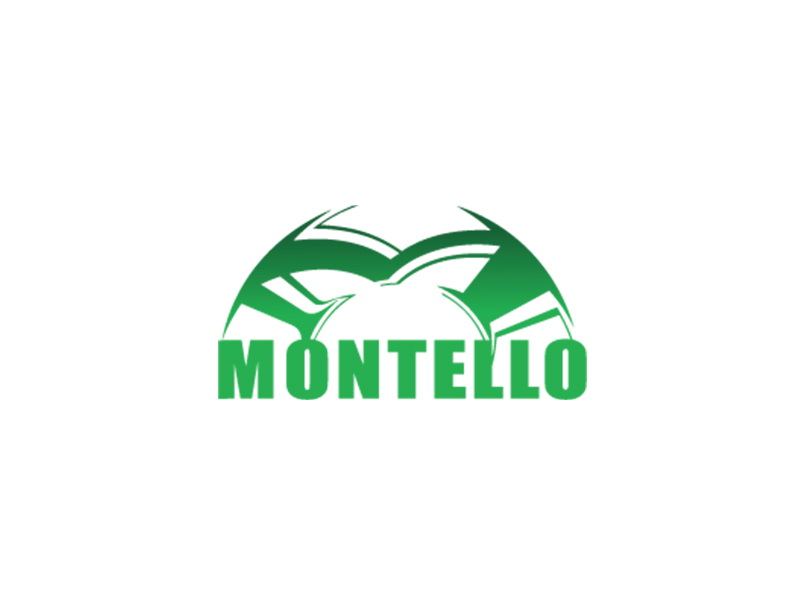 Montello SpA